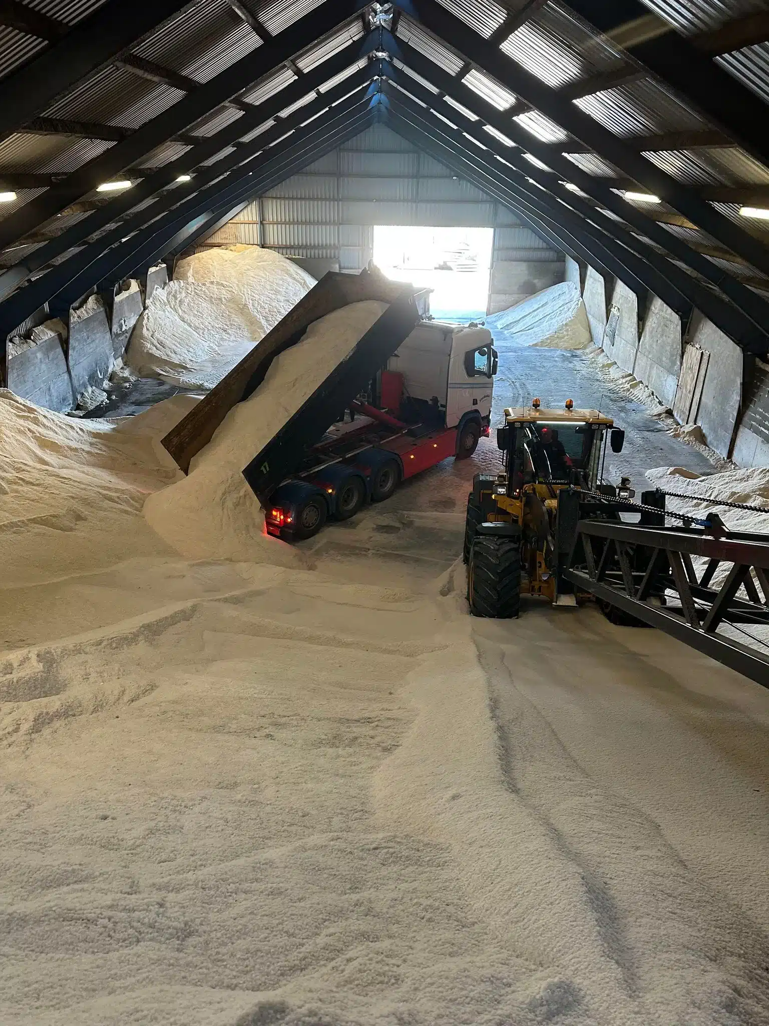 Salt aflæsning